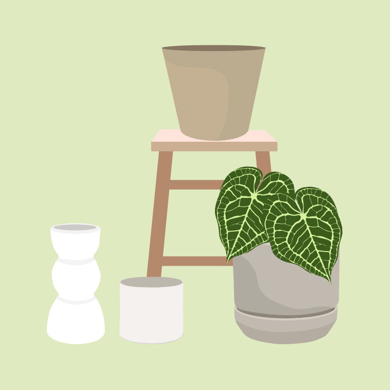 Illustration verschiedener Bluemntöpfe vor hellgrünem Hintergrund: ein beiger Topf auf einem hölzernen Hocker, ein grauer Blumentopf mit dunkelgrünen, herzförmigen Blättern, daneben ein weißer skulpturaler Blumentopf und ein schlichter weißer Zylinder.