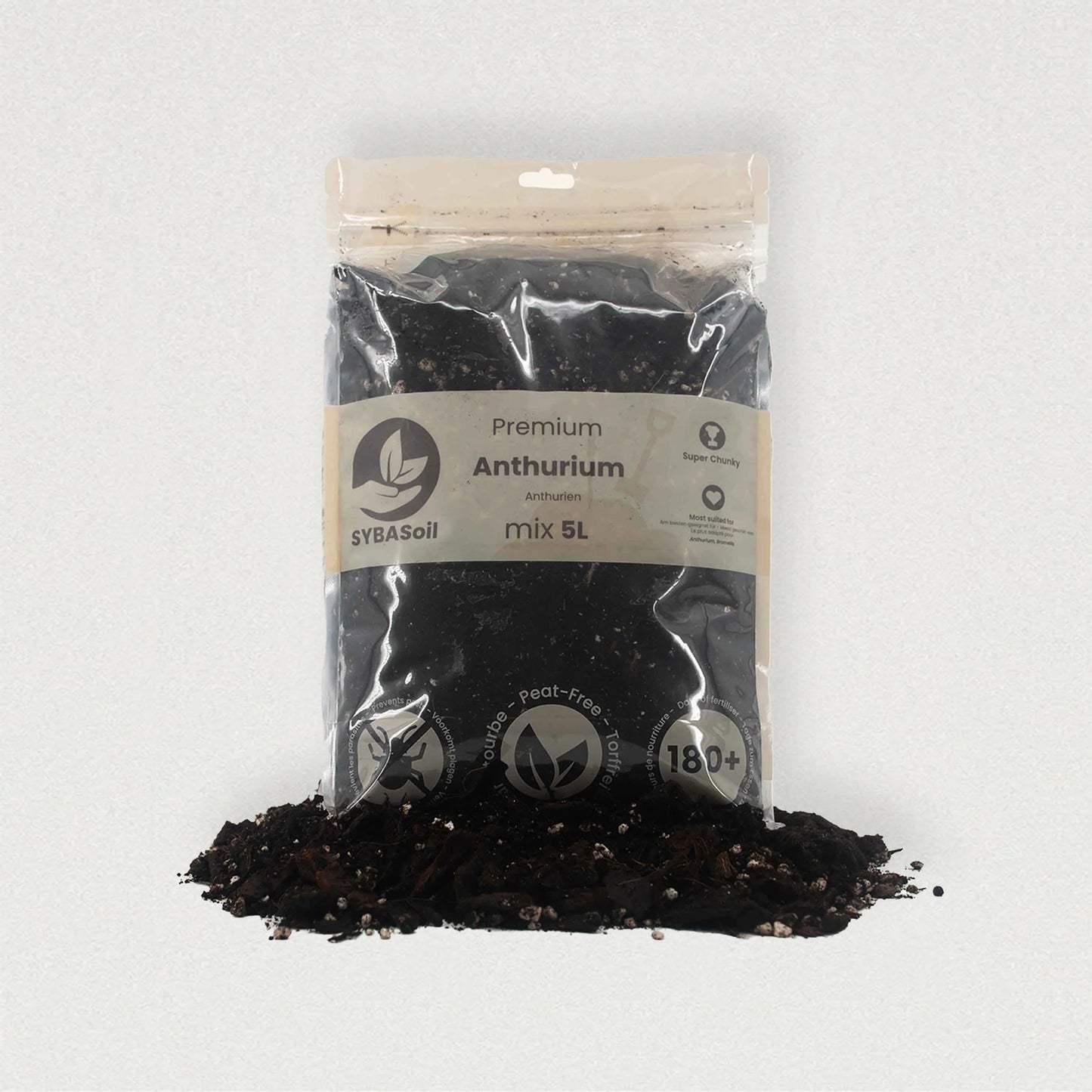 Anthurium Erdmix