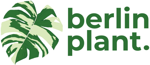 Berlinplant