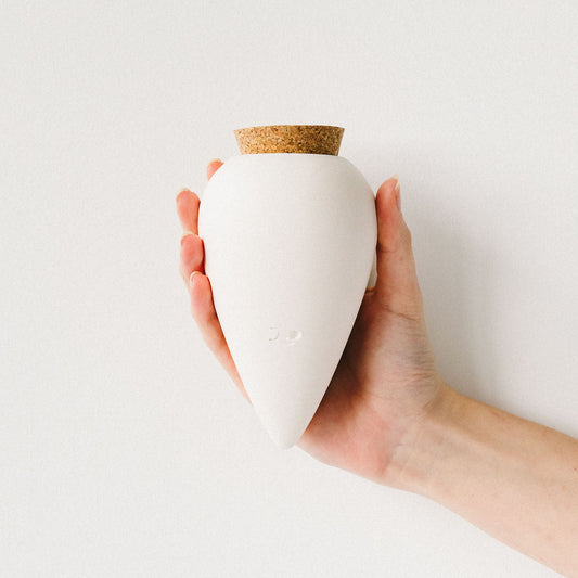 Olla - Bewässerungshilfe