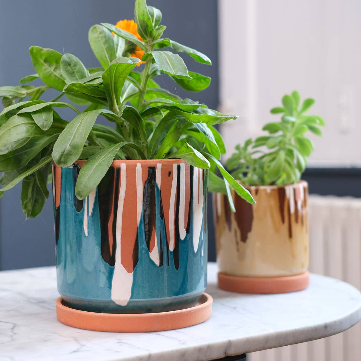 Urbaner Blumentopf in kräftigem Blau mit üppiger Zimmerpflanze auf hellem Marmor