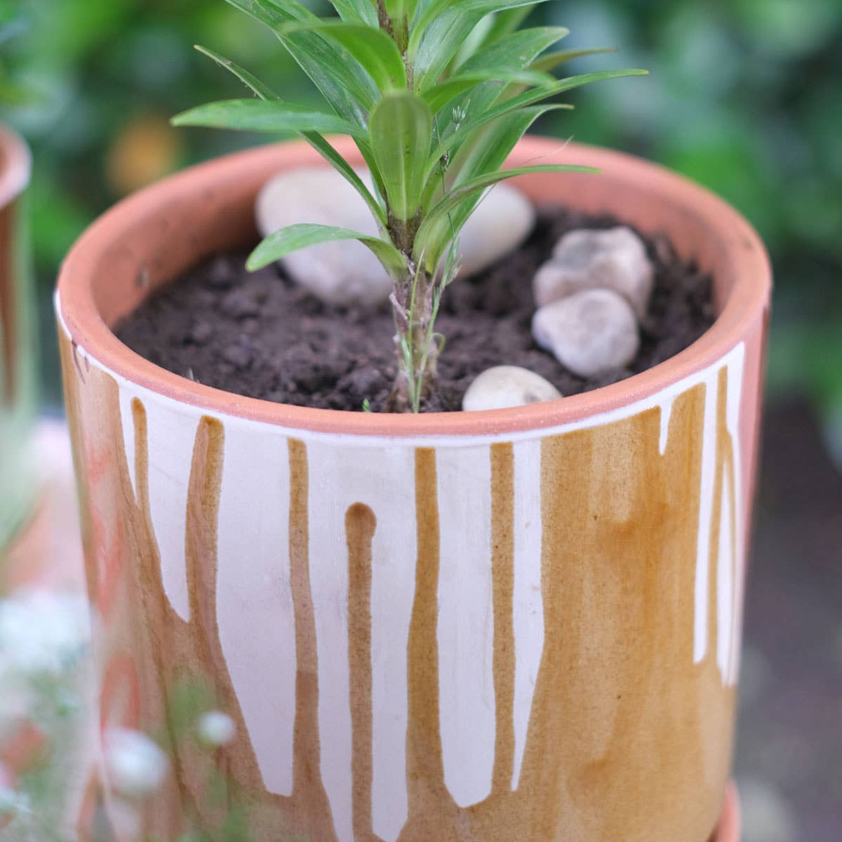 Nahaufnahme der strukturierten Braun-Glasur am Blumentopf für ein erdiges, natürliches Wohnambiente