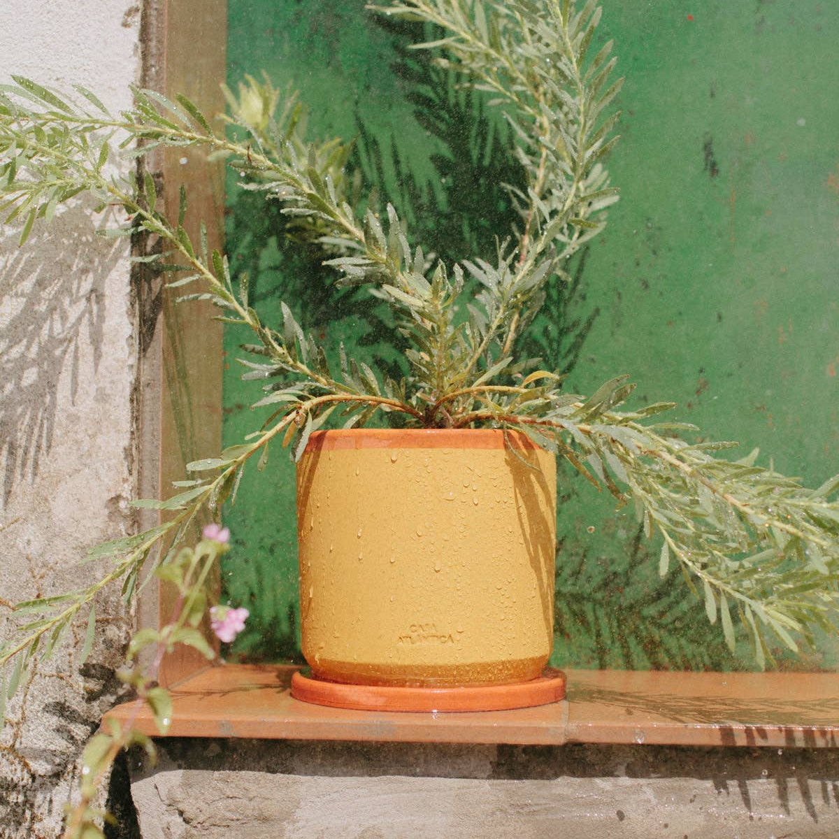 Unterseite des Blumentopfes mit Drainageloch und Terrakotta-Untersetzer für optimalen Wasserablauf
