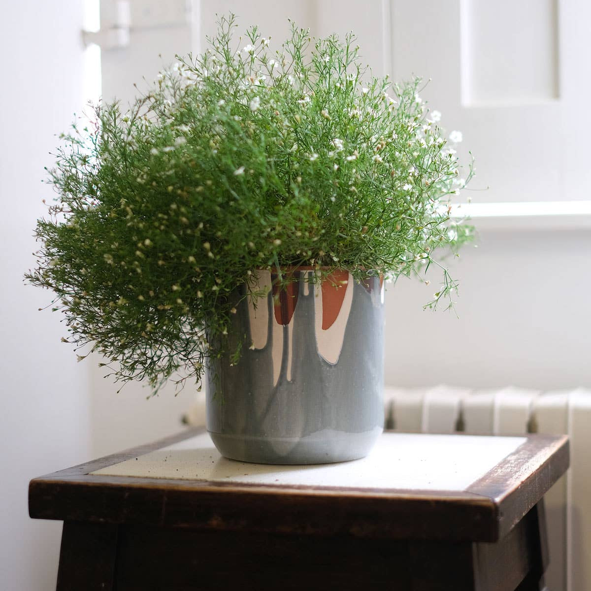 Blumentopf in modernem Interieur mit üppiger Zimmerpflanze – kühler Grauton als eleganter Farbakzent
