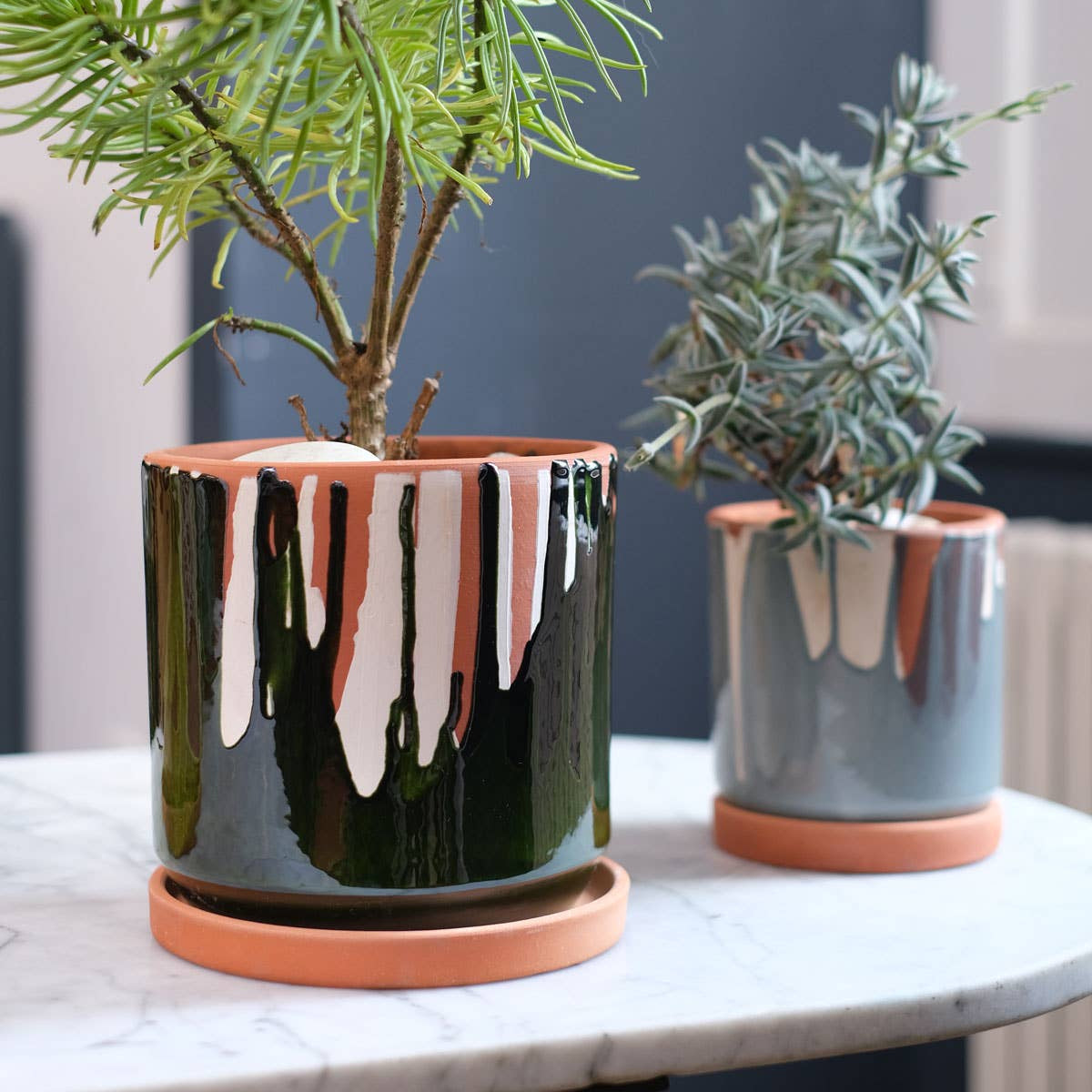 Blumentopf mit üppiger Zimmerpflanze in modernem Wohnambiente – perfekter Blickfang