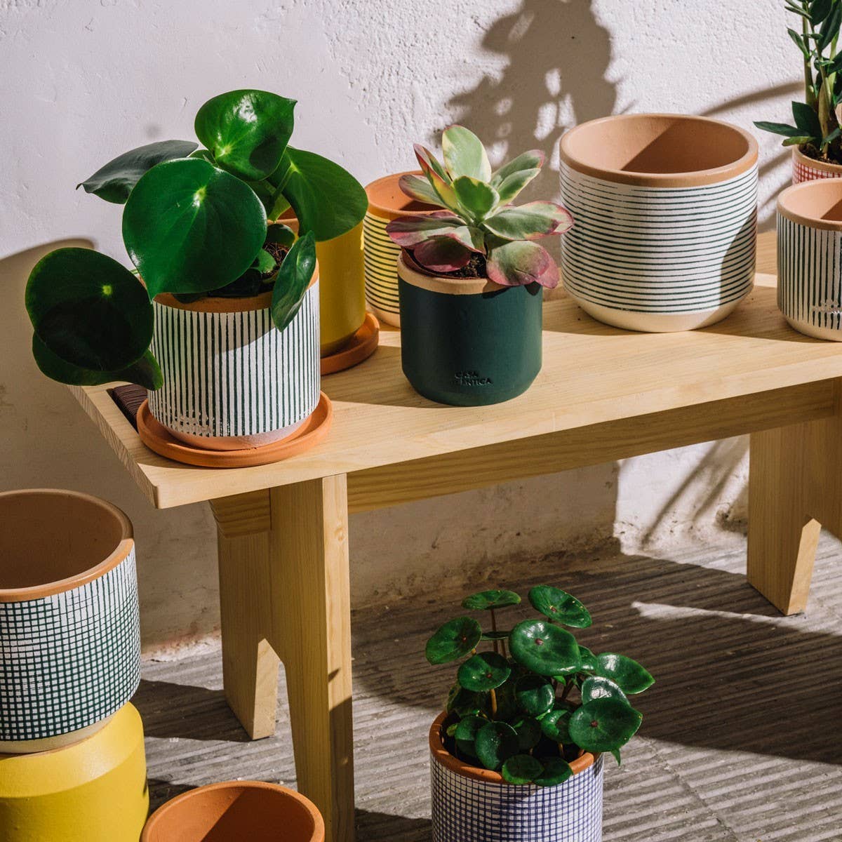 Blumentopf neben weiteren Töpfen – stilvolle Gruppenpräsentation für dein Zuhause