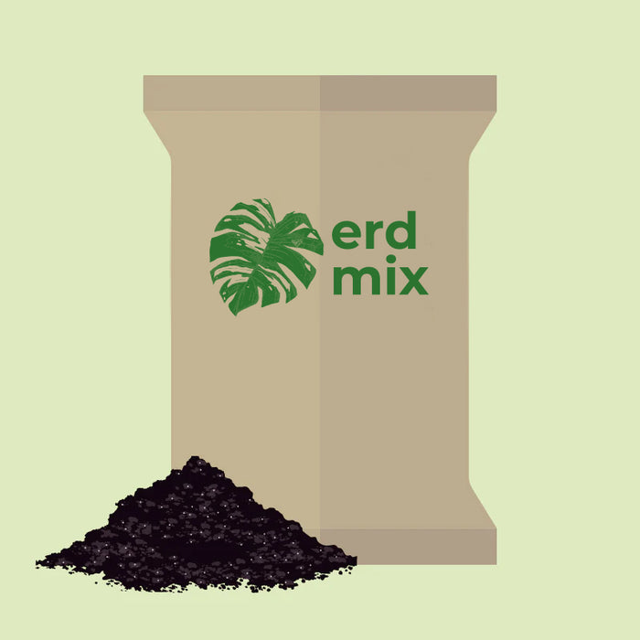 Illustration: Beutel Erdmix mit Monstera-Blatt und ein Häufchen Erde davor