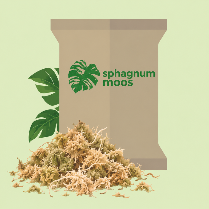 Lockerer Haufen getrocknetes Sphagnum-Moos vor einem Beutel mit der Aufschrift sphagnum moos und zwei Monstera-Blättern, hellgrüner Hintergrund