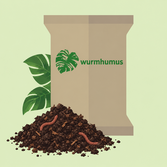 Illustration: Beutel mit der Aufschrift Wurmhumus, davor ein Haufen dunkler, krümeliger Erde mit zwei Würmern und grüne Monstera-Blätter, hellgrüner Hintergrund