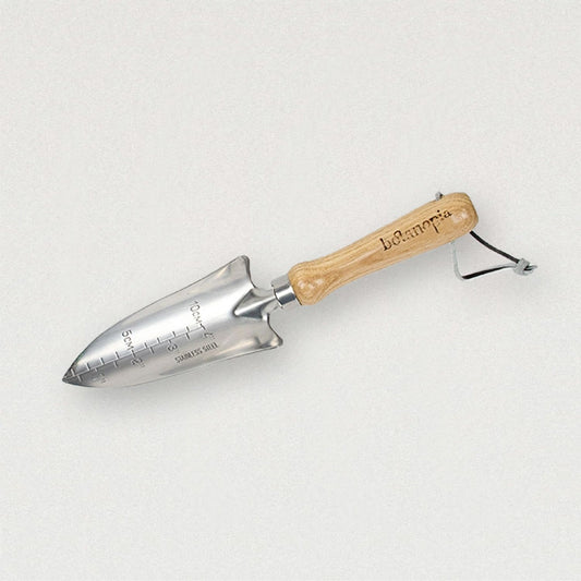 Blumenkelle für Zimmerpflanzen