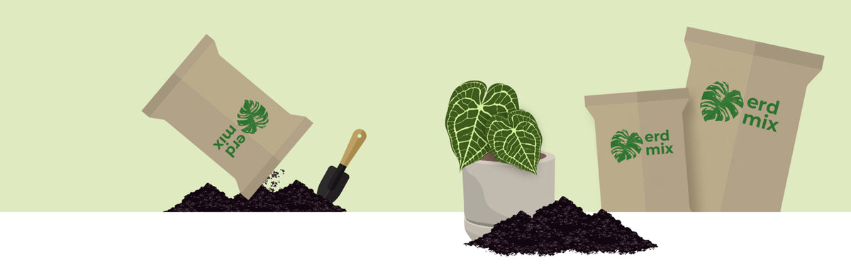 Illustration: zwei Beutel Erdmix, eine Anthurie im Topf und aufgeschüttete Erde mit Pflanzkelle