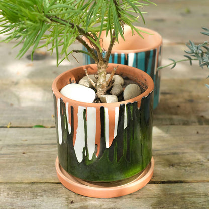 Unterseite des Blumentopfes mit Drainageloch und Tonuntersetzer für sauberes Gießen