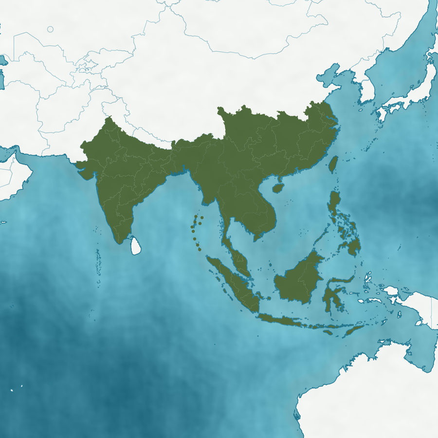 Karte des Verbreitungsgebiets: Südasien, Indochina, Ostasien und Malesien hervorgehoben