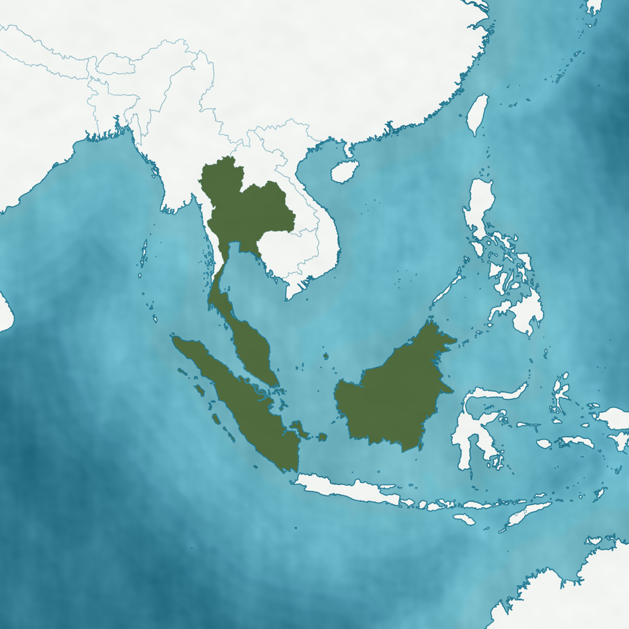 Karte des Verbreitungsgebiets: Borneo, Malaiische Halbinsel, Sumatra und Thailand hervorgehoben
