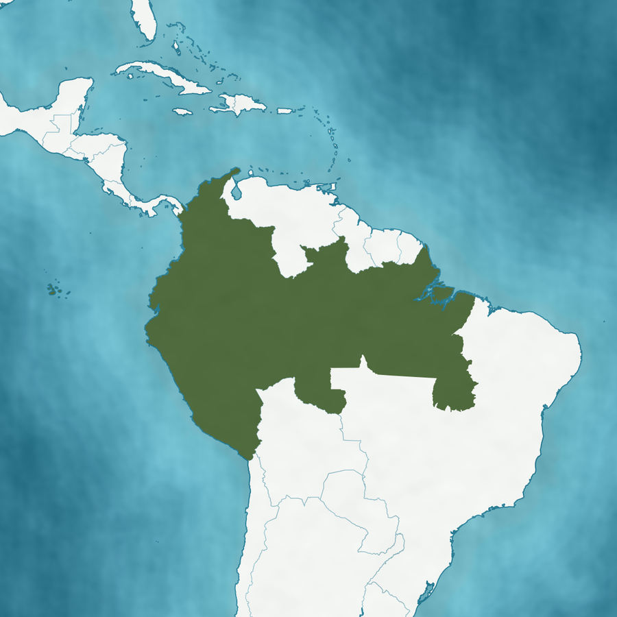 Karte des Verbreitungsgebiets: Nordbrasilien, Kolumbien, Ecuador und Peru hervorgehoben