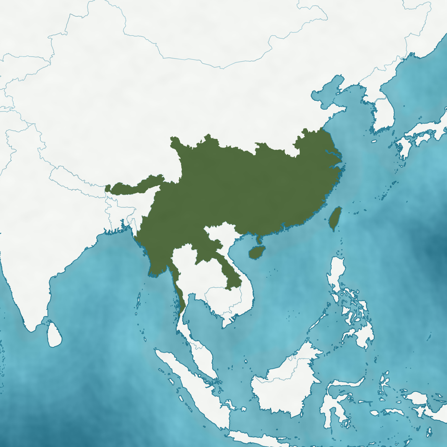 Karte des Verbreitungsgebiets: Südasien, Indochina und Ostasien hervorgehoben