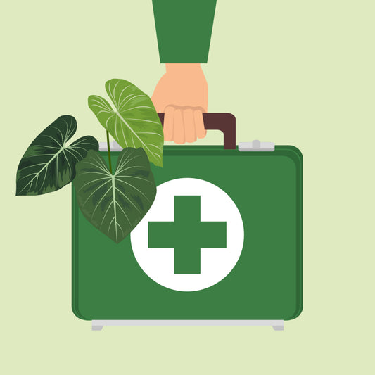 Rescue me - Preis reduziert