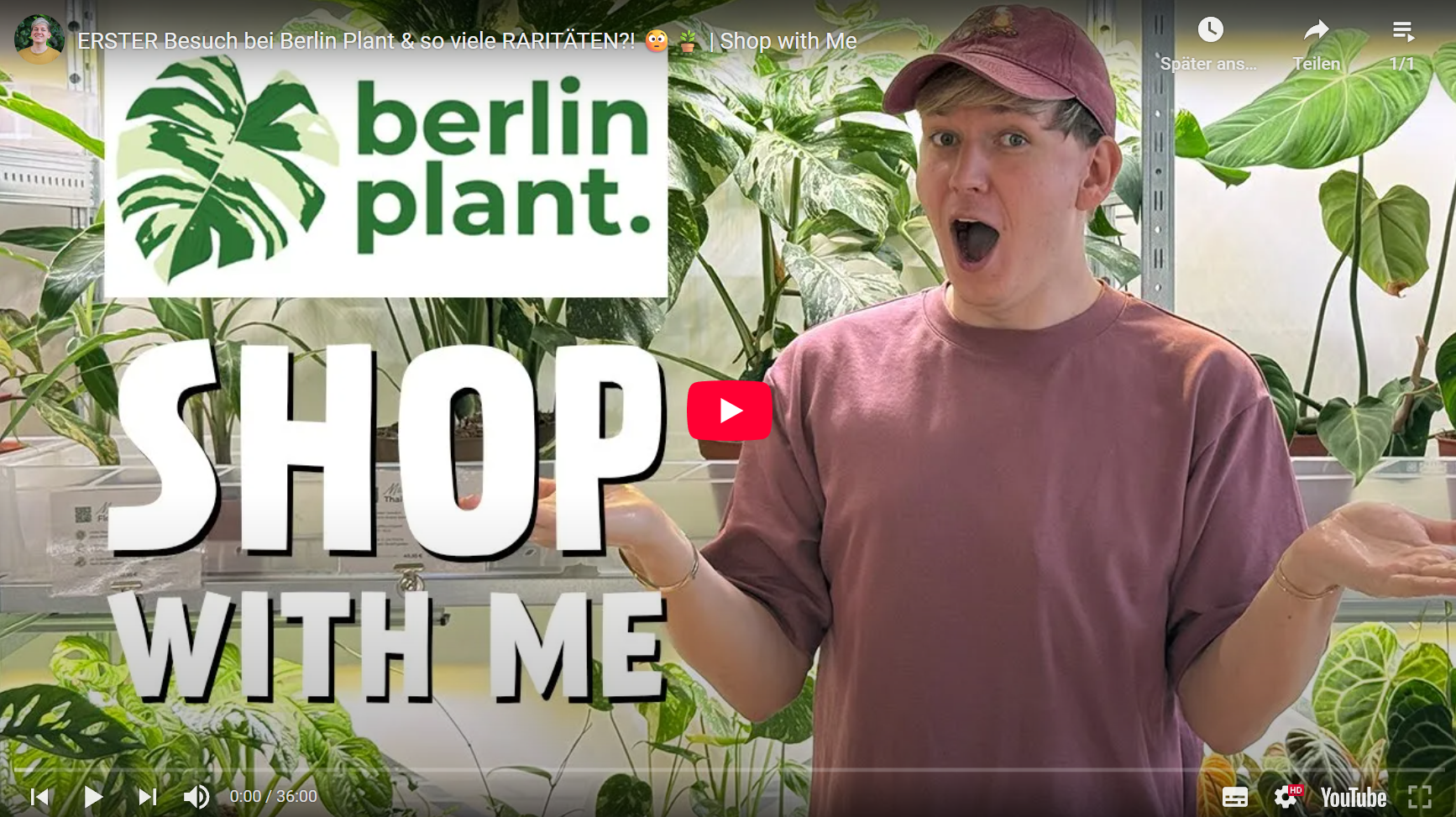 Video laden: Crazyplantboy steht in einem Pflanzenladen vor üppigem Grün und zeigt seltene Zimmerpflanzen bei einer exklusiven Ladentour.