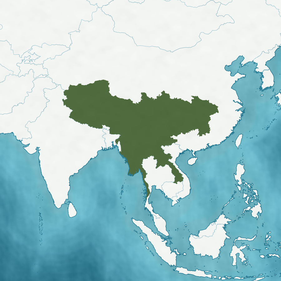 Karte des Verbreitungsgebiets: Assam, Süd-Zentralchina, Tibet, Ost-Himalaya, Laos, Myanmar und Nepal hervorgehoben