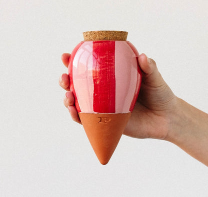 Olla - Bewässerungshilfe