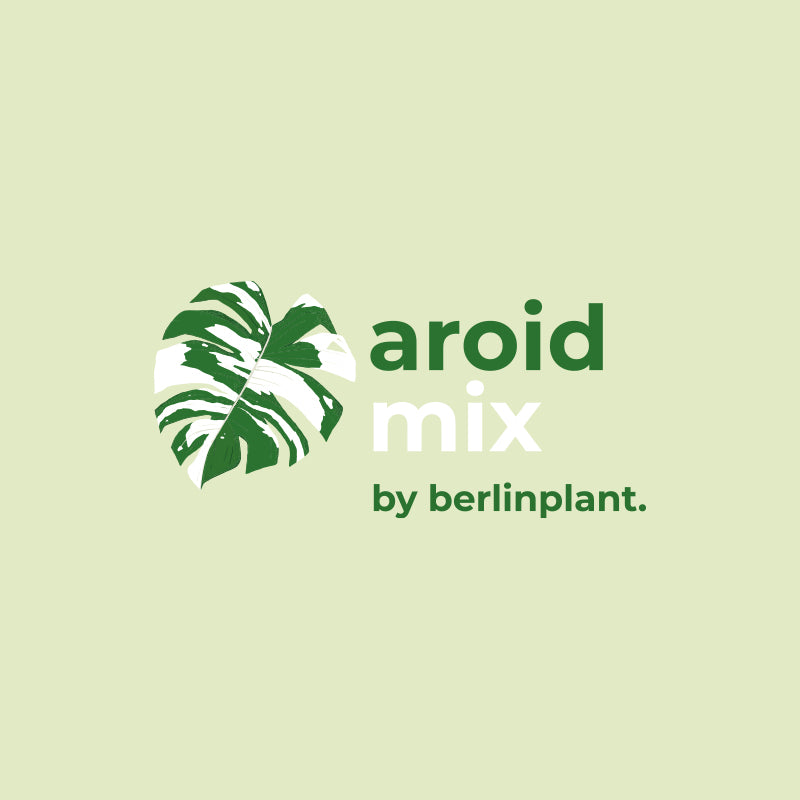 Berlinplant Aroidmix - Allrounder