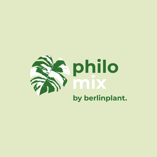 Berlinplant Aroidmix - Philodendron